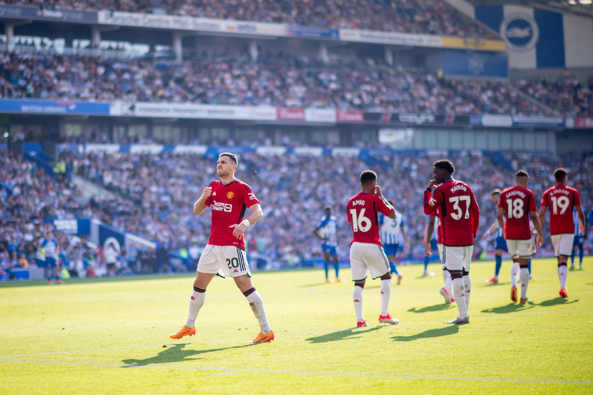 莱特西尔的 莱特西尔的